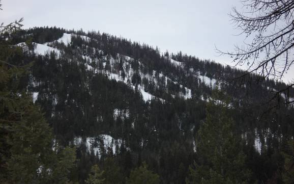 Skier près de Twisp