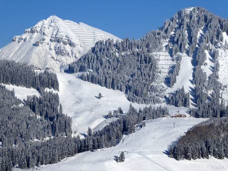 Zwischentoren: Taille des domaines skiables – Taille Berwang/Bichlbach/Rinnen