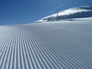 Très beau aussi dans les moindres détails.