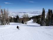 Piste au télésiège McConkey's Express
