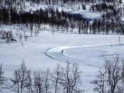 Vue sur les pistes de ski de fond à Hemavan