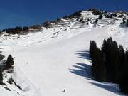 Large piste au Walmendingerhorn