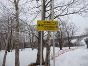 Signalisation des pistes dans le domaine skiable Sahoro