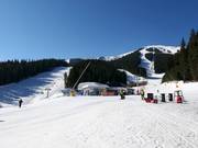 Autour de Shiligarnika