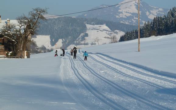 Ski nordique Alpbachtal (vallée d'Alpbach) – Ski nordique Ski Juwel Alpbachtal Wildschönau