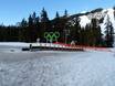 Stations de ski familiales Chaîne côtière – Familles et enfants Cypress Mountain