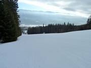 Piste damée dans le domaine skiable de Fernie