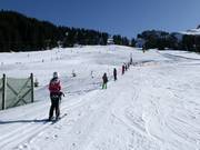 Easy Cheesy - Télécorde/remonte-pente à câbles bas