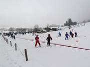 Seillift Kuli 1 (E) - Télécorde/remonte-pente à câbles bas