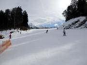 Pistes faciles au Happy Schleppi