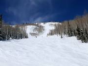 Piste raide près du télésiège Lady Morgan Express