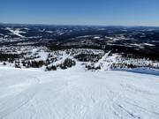 Piste difficile n° 1