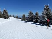 Piste de liaison n° 12 Gobelja