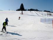 Piste facile à Kaniówka