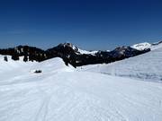 Piste facile Nätschboden