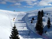 Partie supérieure de la piste Pioverna n° 25