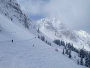Pentes de poudreuse dans le Honeycomb Canyon
