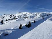 Vue depuis la piste S. Antonio en direction de Cima Paganella