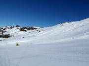 Vue sur les pistes dans la zone Central Spur