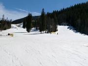 Descentes en vallée Haywood et Schoolmarm