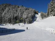 Piste facile Mooslehen