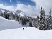 Piste au télésiège Crest 6