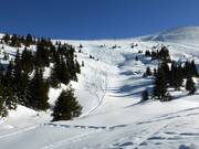 Traces dans la poudreuse au Gamserrugg