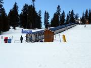 Goldie Magic Carpet - Tapis roulant recouvert d’une galerie