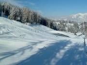 Téléski d'entraînement Tschengla à Bürserberg
