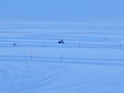 Titlis SnowXpark Trübsee avec conduite de skidoo
