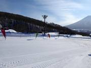 Terrain d’entraînement de l’école de ski GoSnow à Grand Hirafu