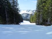 Piste familiale facile