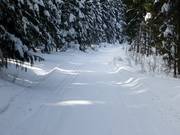 Dans la zone forestière d’Altglashütten, plusieurs pistes de ski de fond s’étendent.