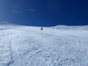 Extrêmement raide : Platter Splatter