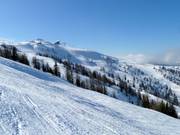 Vaste domaine au Kaiserburg