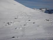 Grizzly XL Terrain Park