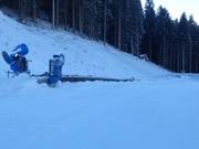 Biancaneve - Tapis roulant/Moving Carpet