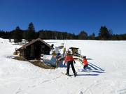 Übungslift Kranzberg Comfort Star - Télécorde/remonte-pente à câbles bas