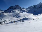 Vue depuis le Gamsgarten vers la Schaufelspitze