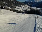 Descente en forêt (Fiss)