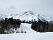 Pistes au Brennerköpfl