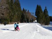 Farrenau I - Téléski à pioches