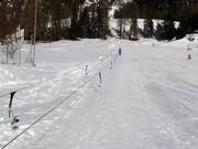 Ponylift Pontresina 1 - Télécorde/remonte-pente à câbles bas
