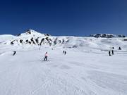 Piste facile aux remontées mécaniques Albeina