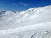 Zone freeride au Kari Traa-trekket
