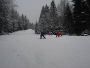 Après peu de temps, les petits skient déjà tout seuls.