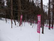 Bon plan pour les enfants : 