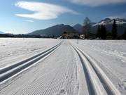 Pistes de ski de fond dans le Kaiserwinkl