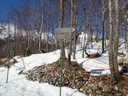 Signalisation des pistes dans le domaine skiable Vogel
