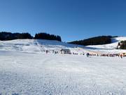 Des pistes faciles et larges dominent sur la Postalm.